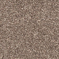 EverStrand|Bold Creation