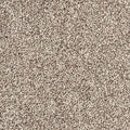 EverStrand|Bold Creation  Add to Favorites