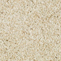 EverStrand|Tonal Chic I  Add to Favorites