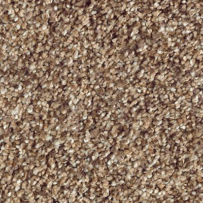 SmartStrand Silk|Nature's Luxury I  Add to Favorites