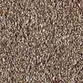 SmartStrand Silk|Nature's Luxury II  Add to Favorites