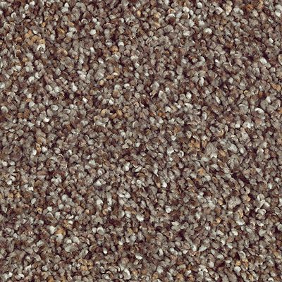 SmartStrand Silk|Nature's Luxury II  Add to Favorites