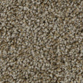 SmartStrand|Polished Shades II