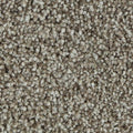 SmartStrand|Polished Shades II  Add to Favorites