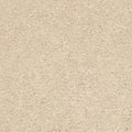 SmartStrand|Lakewood Drive II