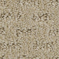 EverStrand|Stylish Tones