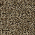 EverStrand|Stylish Tones