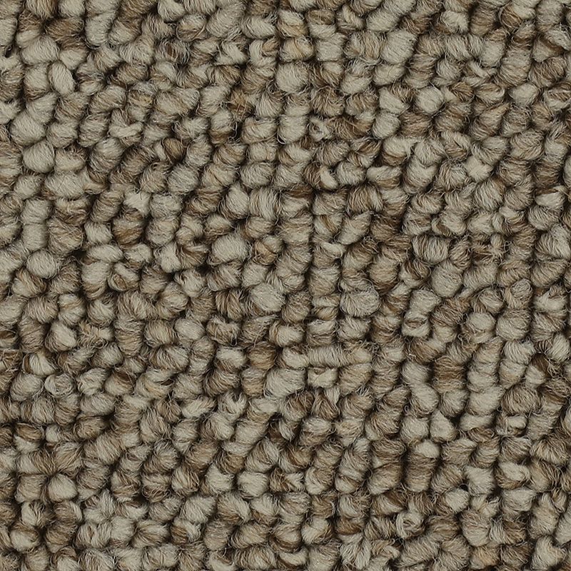 EverStrand|Chic Comfort