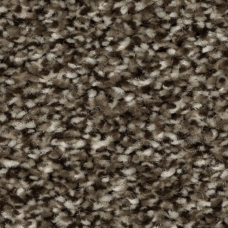 EverStrand|Refreshing Shades