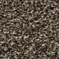EverStrand|Refreshing Shades