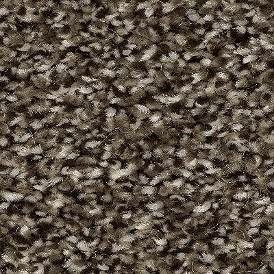 EverStrand|Refreshing Shades