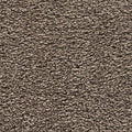 EverStrand|Bold Choice  Add to Favorites