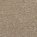 EverStrand|Bold Choice  Add to Favorites