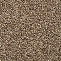 EverStrand|Bold Choice  Add to Favorites