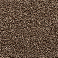 EverStrand|Bold Choice  Add to Favorites