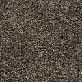 EverStrand|Bold Choice  Add to Favorites