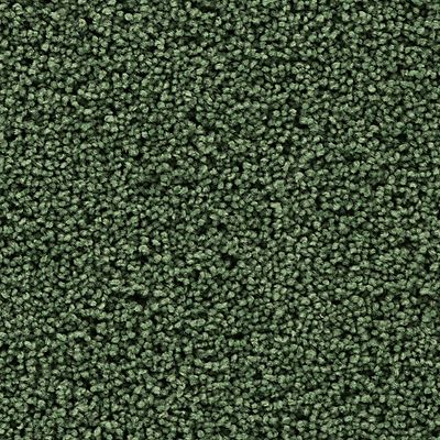 SmartStrand|Gentle Path  Add to Favorites