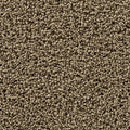 SmartStrand|Gentle Path  Add to Favorites