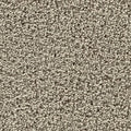 SmartStrand|Gentle Path  Add to Favorites