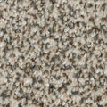 EverStrand|Refreshing Shades
