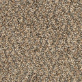 EverStrand|Refreshing Shades