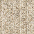 EverStrand|Detailed Comfort