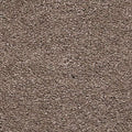 SmartStrand|Luxuriant Feel  Add to Favorites
