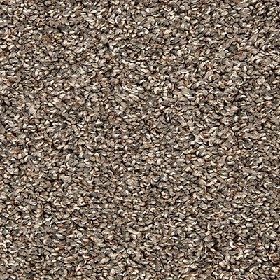 EverStrand|Color Classics I