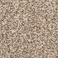 EverStrand|Color Classics II  Add to Favorites