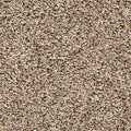 EverStrand|Color Classics II