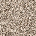 EverStrand|Color Classics II