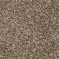 EverStrand|Color Classics II