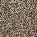 EverStrand|Color Classics II