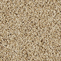 EverStrand|Sleek Tones