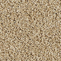 EverStrand|Sleek Tones