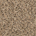 EverStrand|Revive  Add to Favorites