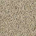 EverStrand|Sleek Tones