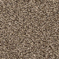EverStrand|Revive  Add to Favorites