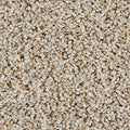 EverStrand|Sleek Tones
