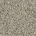 EverStrand|Sleek Tones