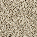EverStrand|Sleek Tones