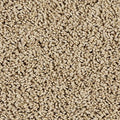 EverStrand|Sleek Tones