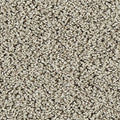 EverStrand|Sleek Tones