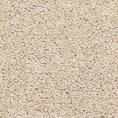 EverStrand|Tectonic  Add to Favorites