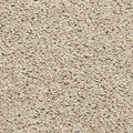 EverStrand|Tectonic  Add to Favorites