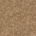 EverStrand|Tectonic  Add to Favorites