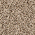 EverStrand|Revive  Add to Favorites