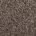EverStrand|Dynamic Quality I