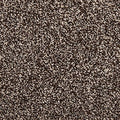 EverStrand|Dynamic Quality II