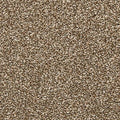 EverStrand|Dynamic Quality II